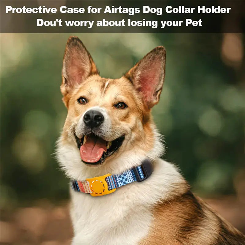 Digital Print Collar for Dogs and Cats