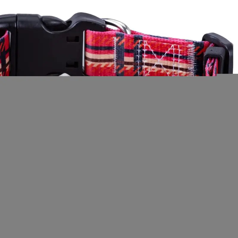 Digital Print Collar for Dogs and Cats